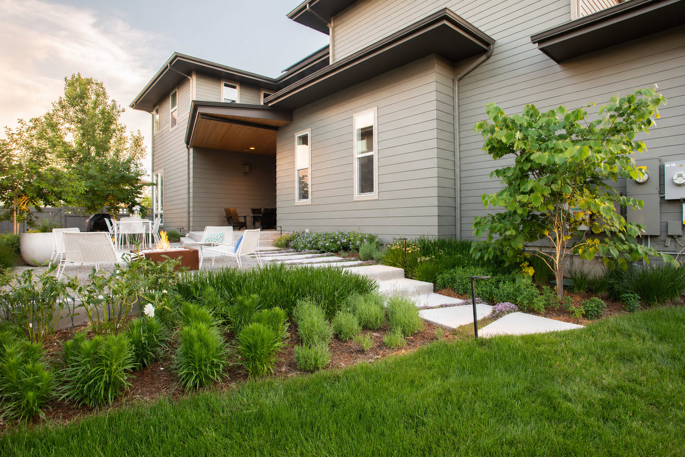Drought-tolerant turf